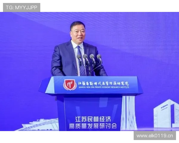 民营企业家在新时代高质量发展中的创新担当与成长路径研究探索略